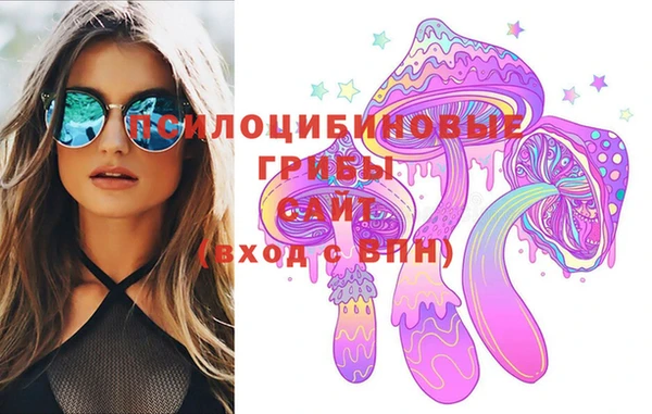 spice Пересвет