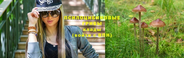 молекула духа Алексин