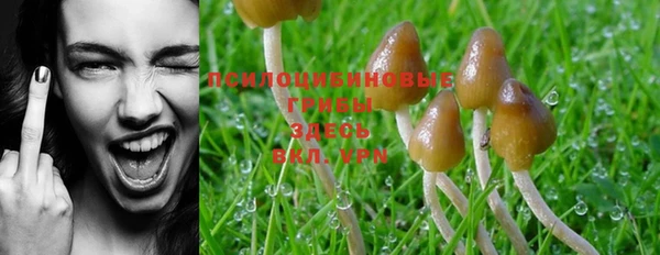 2c-b Абдулино